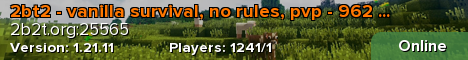 2bt2 - vanilla survival, no rules, pvp - 962 gb world - 58