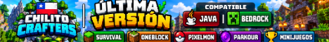 Survival, OneBlock, Pixelmon | Java&Bedrock