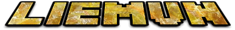 LIEMVN NETWORK