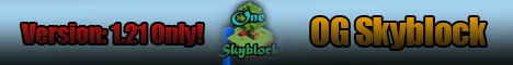 One SkyBlock