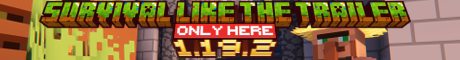 Poney SMP