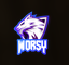 Worsy