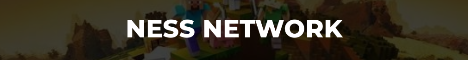 NESS NETWORK