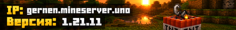 2B4T pvp