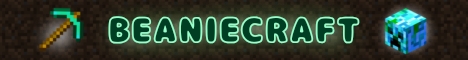 BeanieCraft