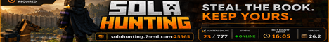 solohunting Minecraft Server