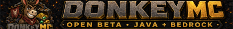 DonkeyMC | Open Beta
