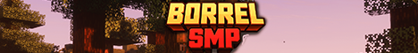BorrelSMP