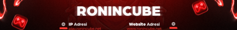 Ronincube