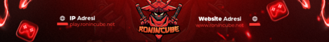 Ronincube
