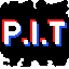 P.I.T True Anarchy/Survival