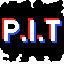 P.I.T True Anarchy/Survival P.I.T True Anarchy/Survival