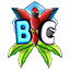 BCRAFT BCRAFT