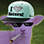 Z Server SMP Z Server SMP