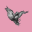 Ravenstale - Survival Ravenstale - Survival