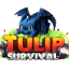 🌷 TulipSurvival 🌷 1.17.1 survival 🌷 Grief protection 🌷