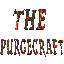 Thepurgecraft anarchy