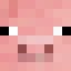Duck SMP Duck SMP