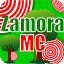 ZamoraMC Network