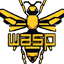 Wasp Face