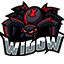 Widow Network
