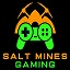 Salt Mines Gaming ATM9