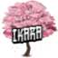 Ikara