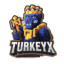 TurkeyX Network