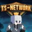 TS NETWORK