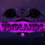 Voidlands Lifesteal SMP