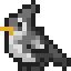 SilverBirdSMP