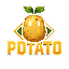 POTATO SURVIVAL POTATO SURVIVAL