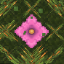 Lush Survival