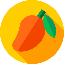 Mango-Net