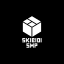 Skibidi SMP