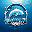 SILVAVITA ECONOMY