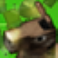 Warped Donkey