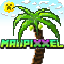 Madpixxel