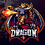 Dragon Network