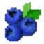 BlueBerryCraft