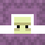 Shulker SMP