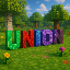 Union SMP