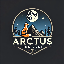 ArctusNetwork