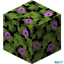 Mystic Isles