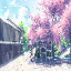 Server