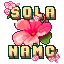 SolanaMC