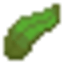 KELP MC survival
