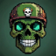 Survify