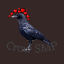 Crow SMP Crow SMP
