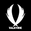 Valkyrie Gaming Network
